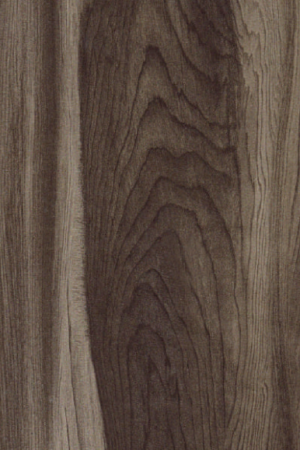 Lamination Press 593