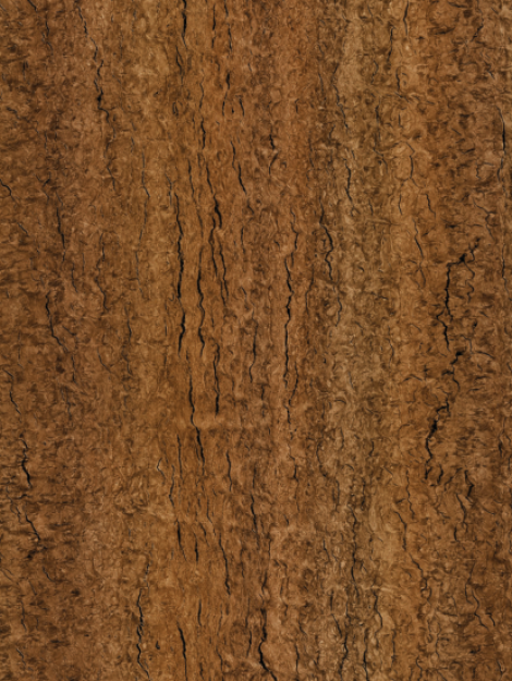 Screenshot 2025-06-26 204019